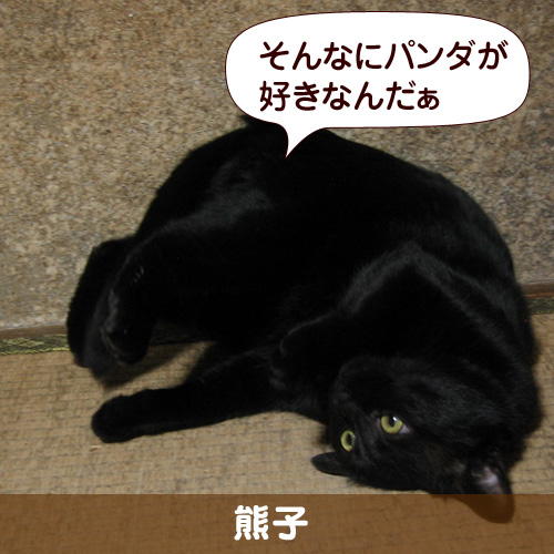 110308_touko.jpg