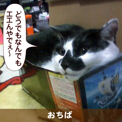 110310_touko.jpg