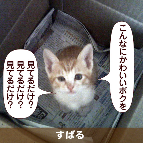 110312_touko.jpg