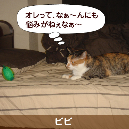 110314_touko.jpg
