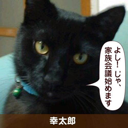 110316_touko.jpg