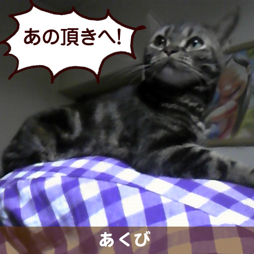 110317_touko.jpg
