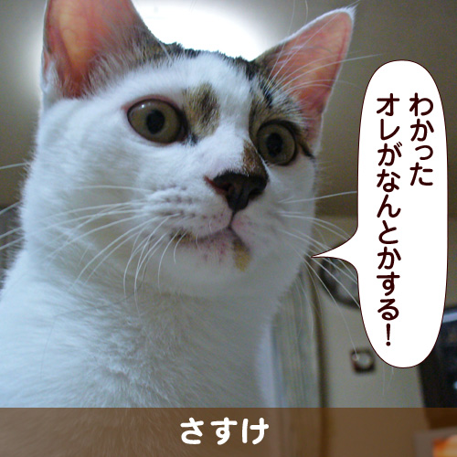 110319_touko.jpg