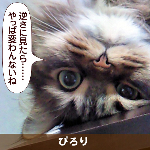 110322_touko.jpg