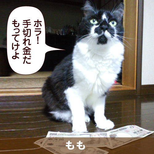 110323_touko.jpg