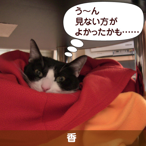 110324_touko.jpg