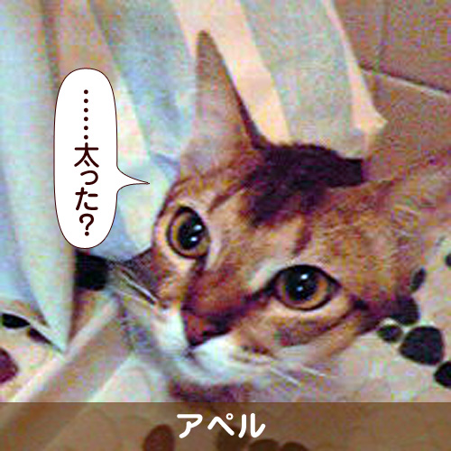 110325_touko.jpg