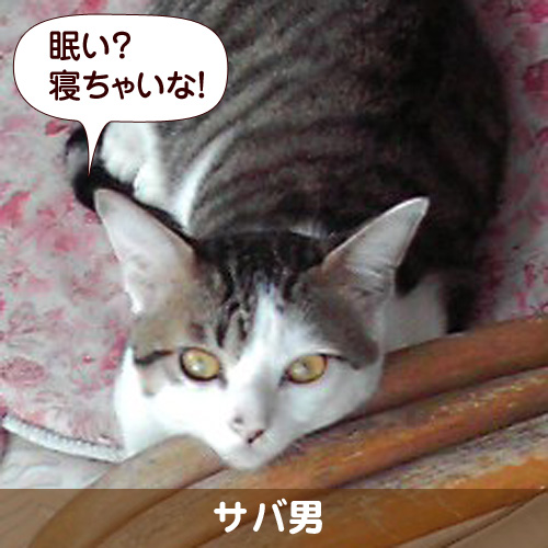 110327_touko.jpg