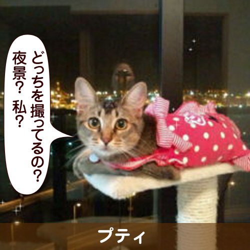 110330_touko.jpg