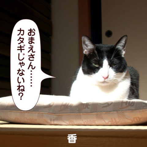 110332_touko.jpg
