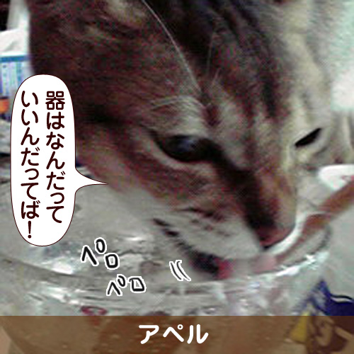110333_touko.jpg