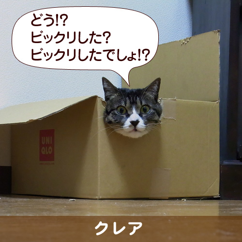 110334_touko.jpg