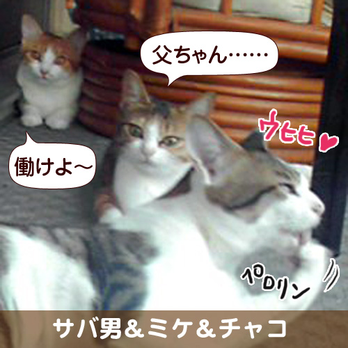 110335_touko.jpg