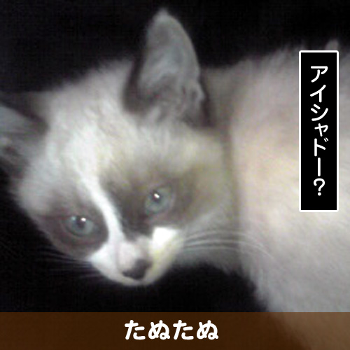 110336_touko.jpg