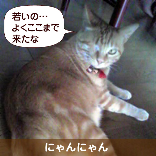 110337_touko.jpg