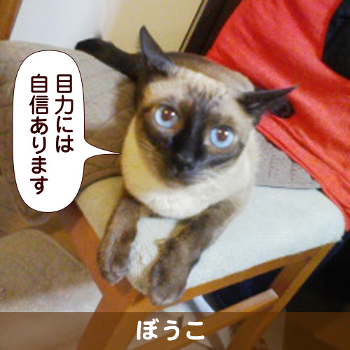 110338_touko.jpg