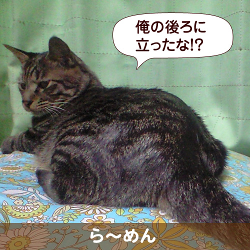 110339_touko.jpg