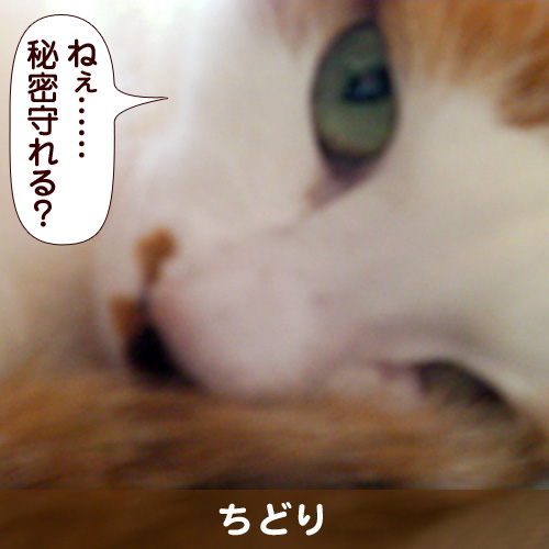 111023.jpg