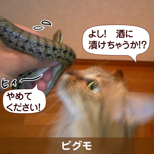 111026.jpg