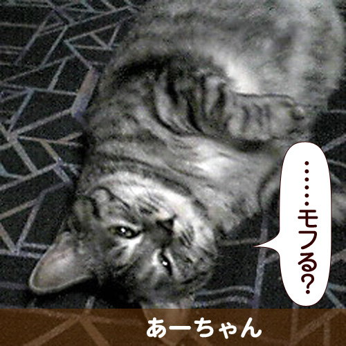 111101_touko.jpg