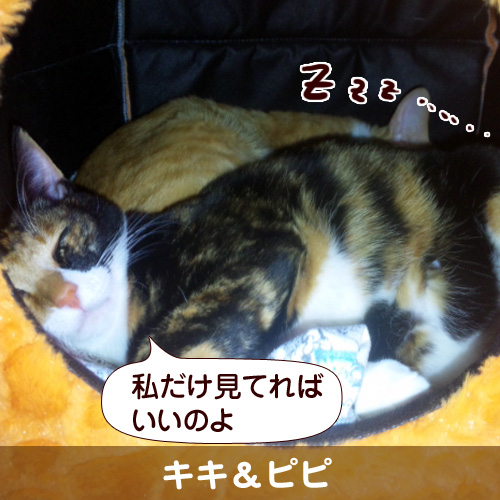 111103_touko.jpg
