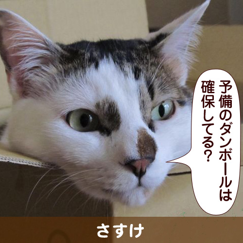 111105_touko.jpg