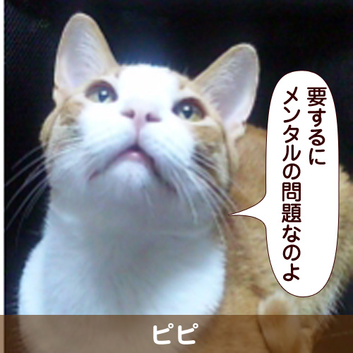 111108_touko.jpg