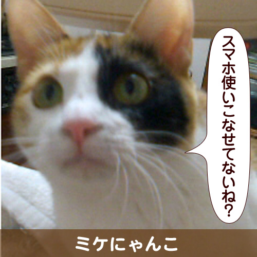 111109_touko.jpg
