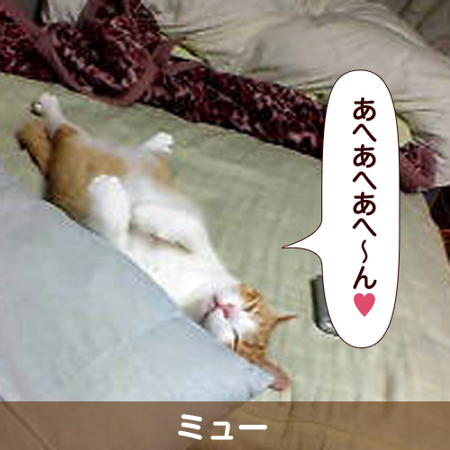 111110_touko.jpg