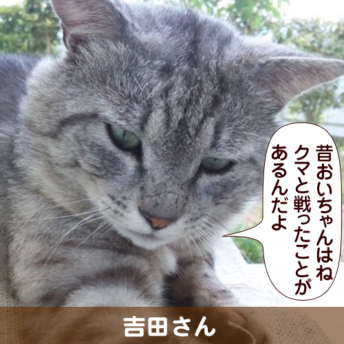 111112_touko.jpg