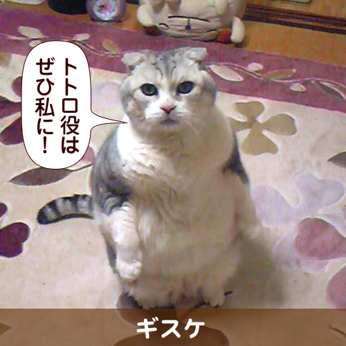 111119_touko.jpg