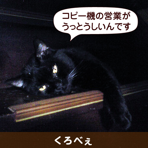 111120_touko.jpg