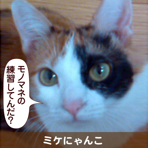 111125_touko.jpg