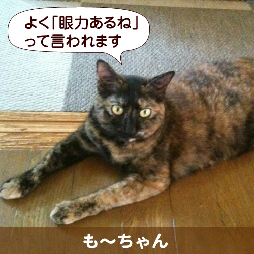 111126_touko.jpg
