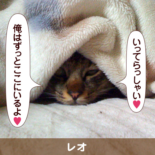 111127_touko.jpg