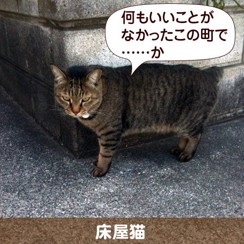 111129_touko.jpg