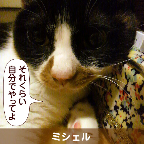 111140_touko.jpg