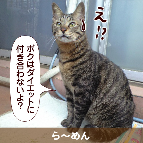 111141_touko.jpg