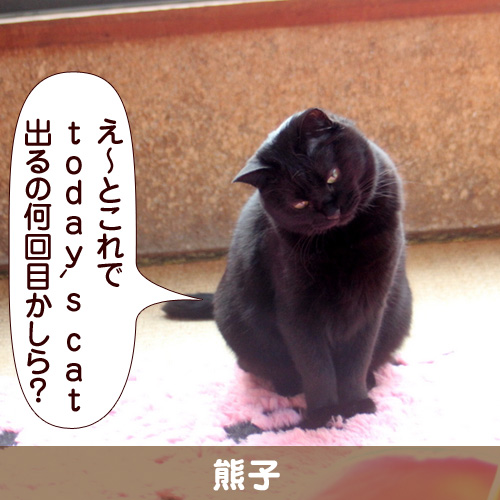 111143_touko.jpg