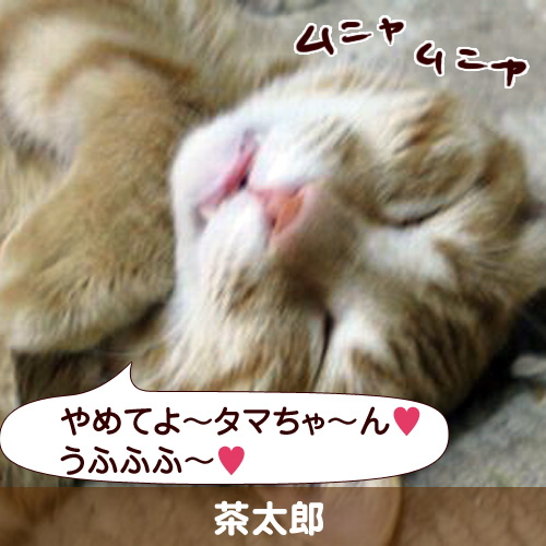 111144_touko.jpg