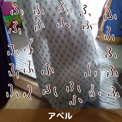 111147_touko.jpg