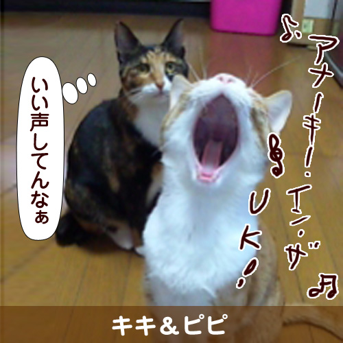 111148_touko.jpg