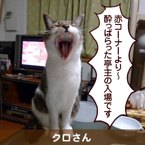 111149_touko.jpg