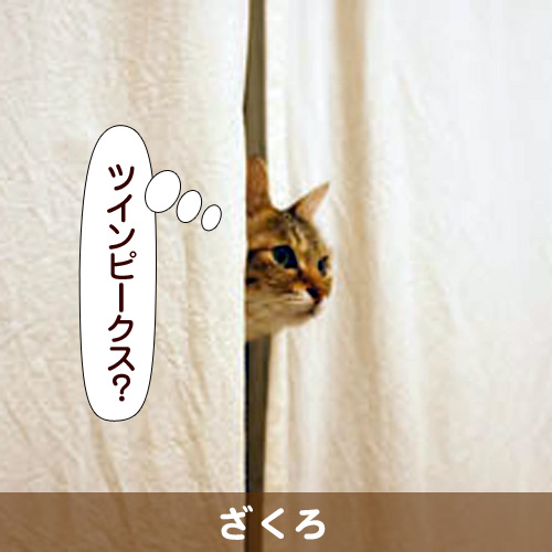 111150_touko.jpg