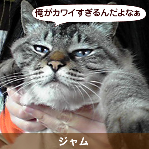 111151_touko.jpg