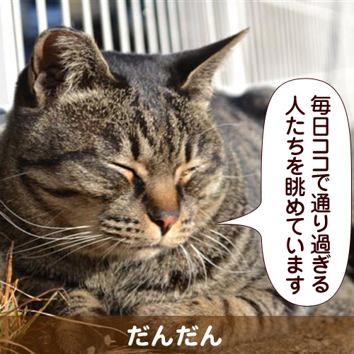 111152_touko.jpg