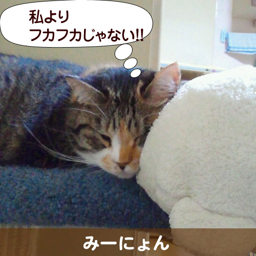 111154_touko.jpg