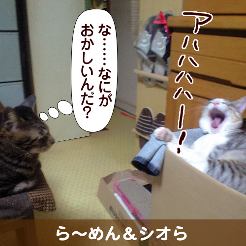 111156_touko.jpg