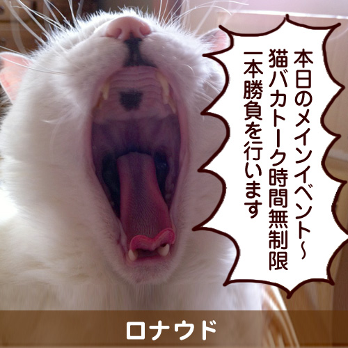 111157_touko.jpg