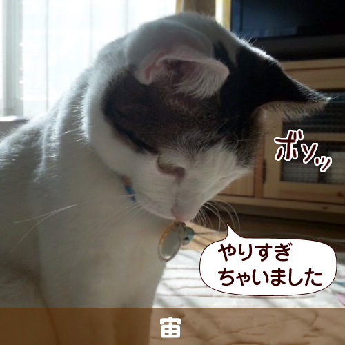 111159_touko.jpg